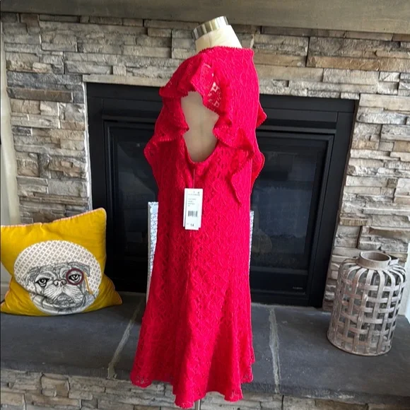 Julia Jordan Red Ruffled Mini Dress - Picture 5 of 14